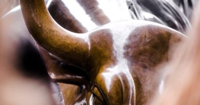 Bourses : les principales places asiatiques terminent en ordre dispersé Tête d'un buffle brun, au fronton des bourses