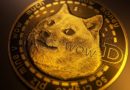 Le Dogecoin ne plaisante plus