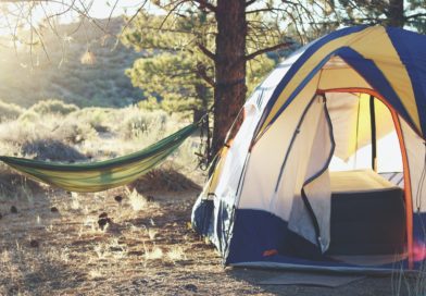 Un camping dans les bois.