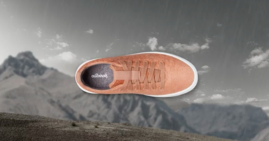 Allbirds, de la licorne au solde