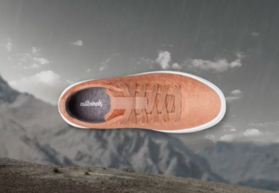 Allbirds, de la licorne au solde